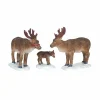 Animaux Lemax Famille de Rennes