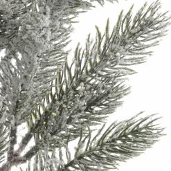 Branche de sapin (65 m) Santa Vert enneigé