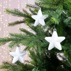 Lot de 6 étoiles de Noël à  suspendre (H7 cm) Alpine Blanc
