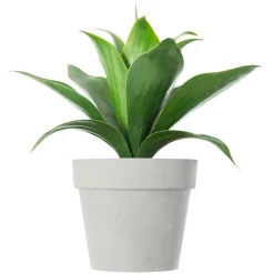 Plante artificielle (H34 cm) Aloe vera