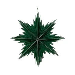 Suspension de Noël en papier (D30 cm) Étoile glacée Vert romarin